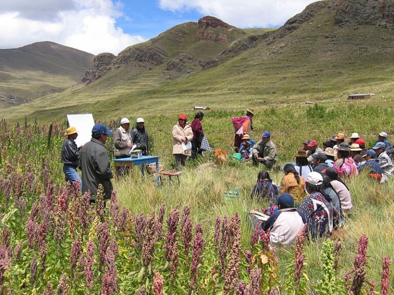 NUEVO CURSO – Innovación, y Creatividad del patrimonio alimentario local