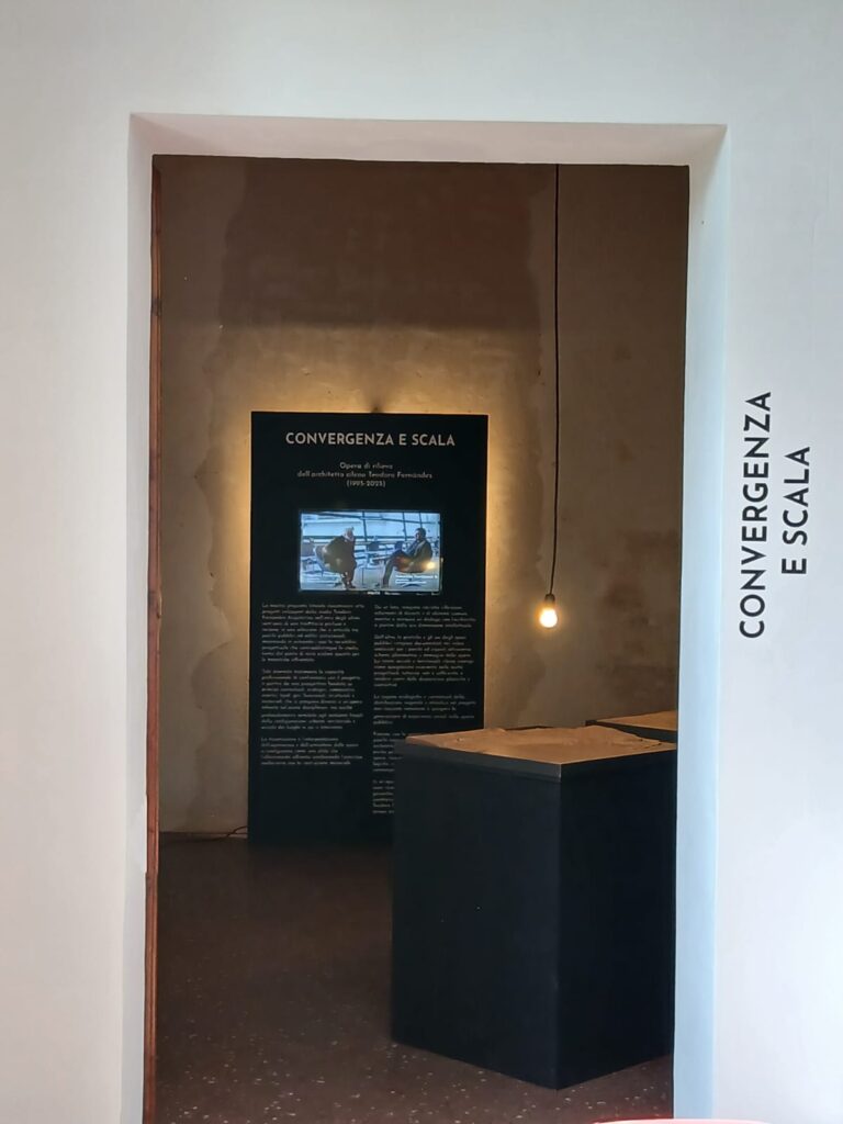 imagen de artículo