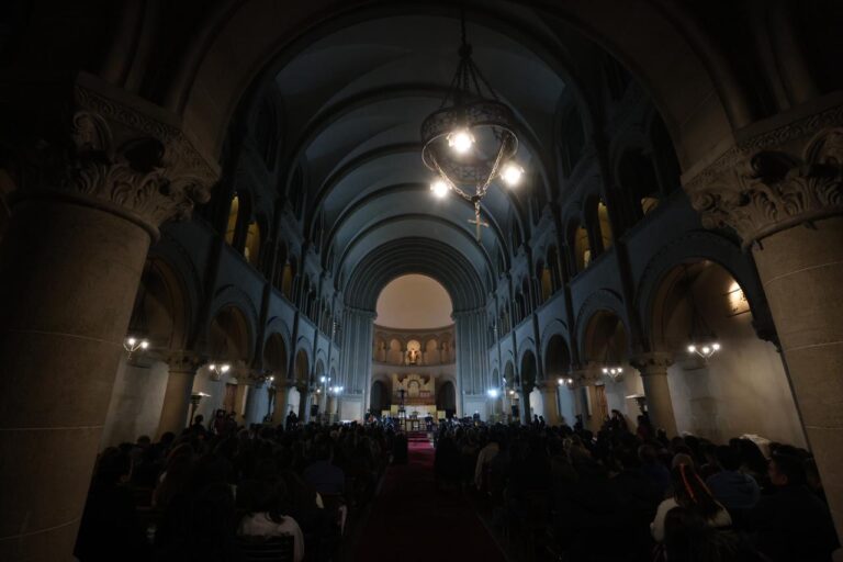 imagen de artículo