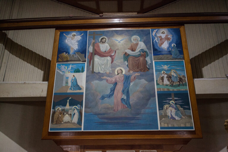 imagen de artículo